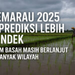 teks headline cuaca 2025